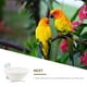 thumbnail image 5 of Pájaro tejido Jerarquía Jaula Colgante Pájaro Pájaro Pájaro Caja de Cristo Pájaro Lugar de Vida Pájaro, 5 of 5