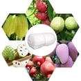 thumbnail image 3 of Scienceny 100x bolsas de malla blancas naturales y respetuosas con el medio ambiente para bolsas de protección de frutas y plantas Jardín y Patio Estilo de cuerda blanca., 3 of 6
