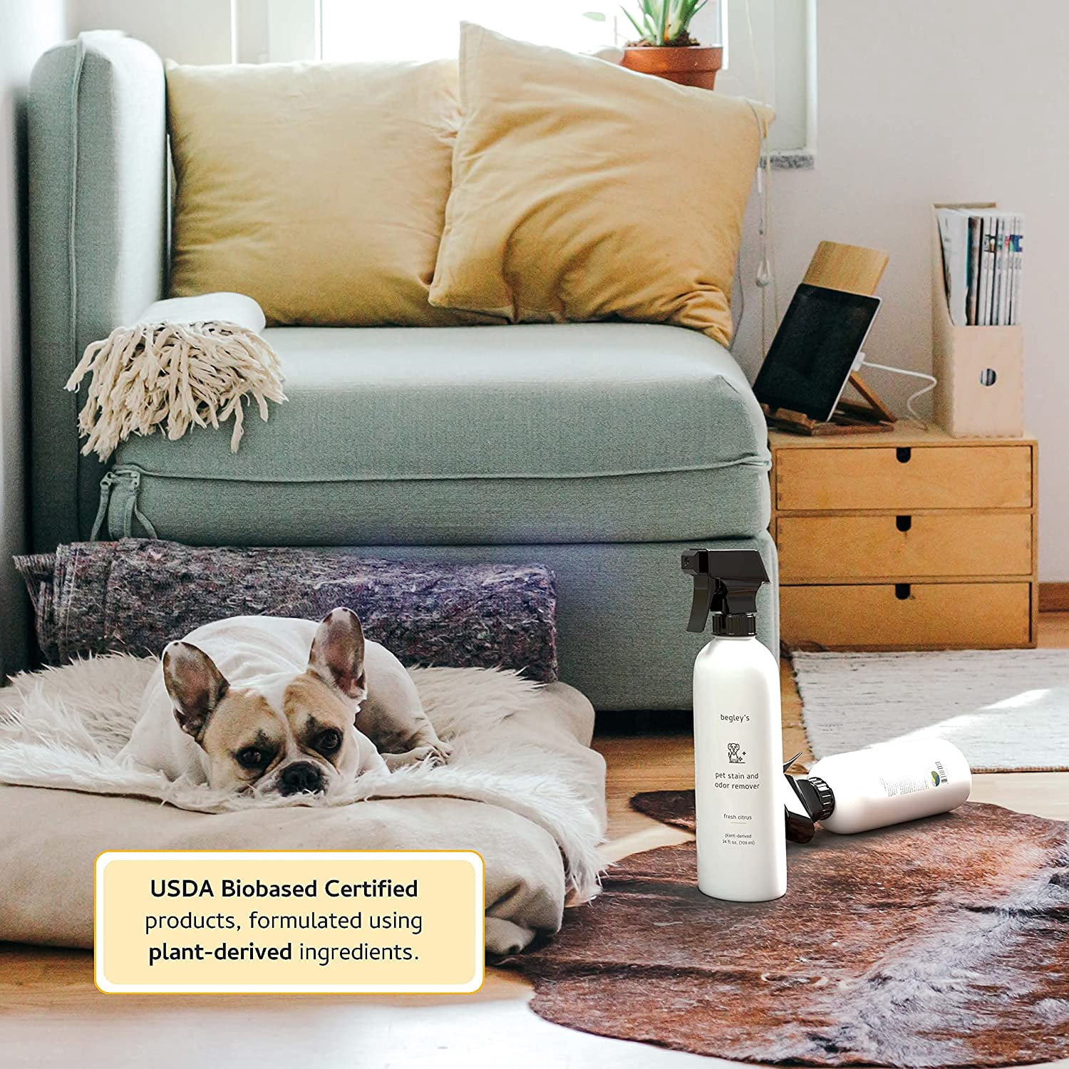 Bergli Pet Stain and Odor Remover - Home Pet Odor Eliminator - Pet Urine Enzyme Cleaner - Pet Carpet Cleaner - Enzymatic Cleaner, for Dog Urine, Cat Urine, Feces - 24 Ounces, 2 Pack