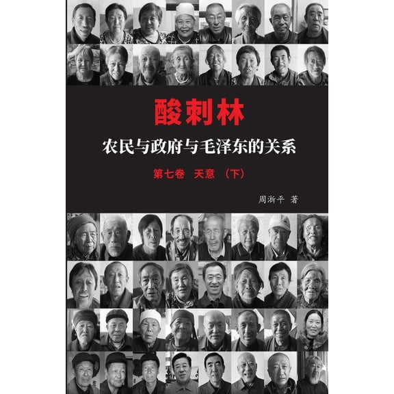 酸刺林:农民与政府与, (Paperback)
