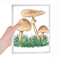 thumbnail image 1 of Carnet Illustration Truffe Verte Mignon Journal Rechargeable Papeterie, 1 of 3