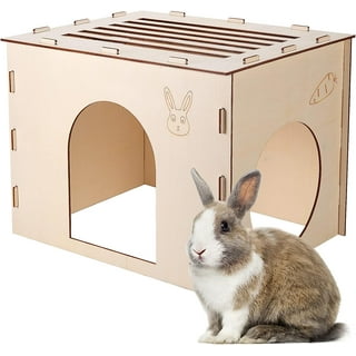 Zolux NEO COSY Small Animal Cage ~ Chinchillas, Rabbits, Etc. 78x48x80cm ~  BEIGE