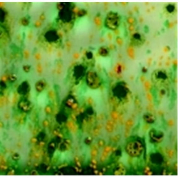 True Flow Non-Toxic Crystal Magic Glaze - 1 Pt. - Herb Garden