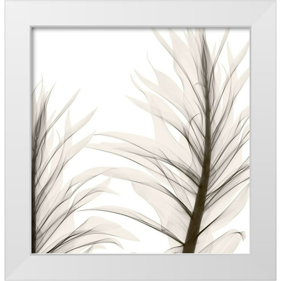 Sommers, Mindy 26x27 White Modern Wood Framed Museum Art Print Titled - Natural Emotions II