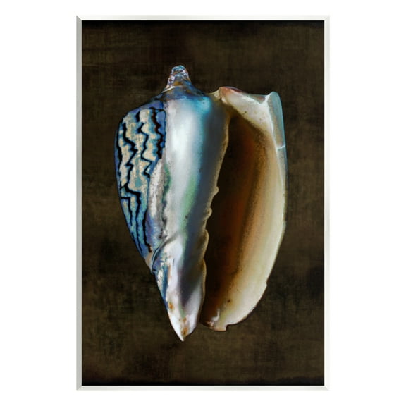 Stupell Industries Dark Conch Shell Nature Painting Unframed Art Print Wall Art, 10 x 15
