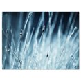 thumbnail image 2 of Herbe Humide Noir et Blanc - Impression sur Toile Florale, 2 of 3