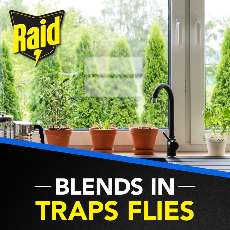 Raid Window Fly Trap, Transparent, 96-Pack photo 7
