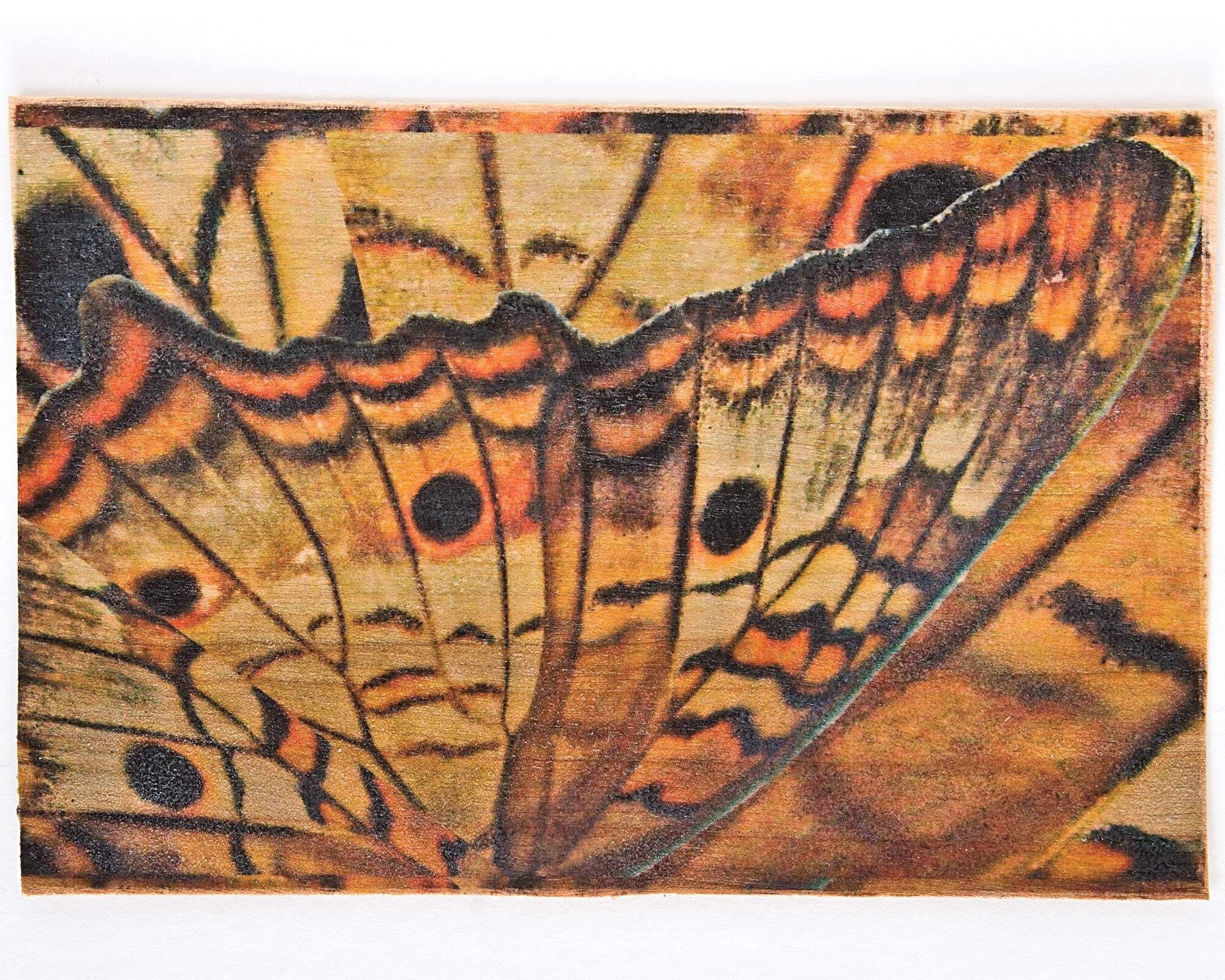 Lesley Riley's Tap Transfer Artist Paper 18-Sheet Pack: 18 Iron-On Image Transfer Sheets 8.5 X 11 (Other)