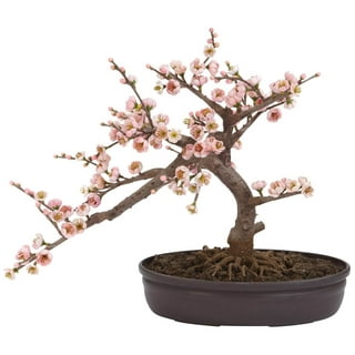 LIGHTSHARE 18 Inch Cherry Blossom Bonsai Tree, 48 LED Lights, 24V UL Listed  Adapter Included, Metal Base, Warm White Lights, Ideal as Night Lights