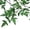 A, variant on Wovilon Artificial Flowers For Decoration Outdoor Simulation Of Nantian Bamboo And Rattan False Flower Ceiling And Plastic Rattan