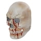 thumbnail image 3 of Cubierta facial de terror de Halloween, cubierta facial de esqueleto con cubierta facial de esqueleto aterrador, cubierta facial de esqueleto, la mejor de su clase, 3 of 9