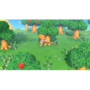 Animal Crossing: New Horizons, Nintendo Switch, [Physical] - U.S. Version