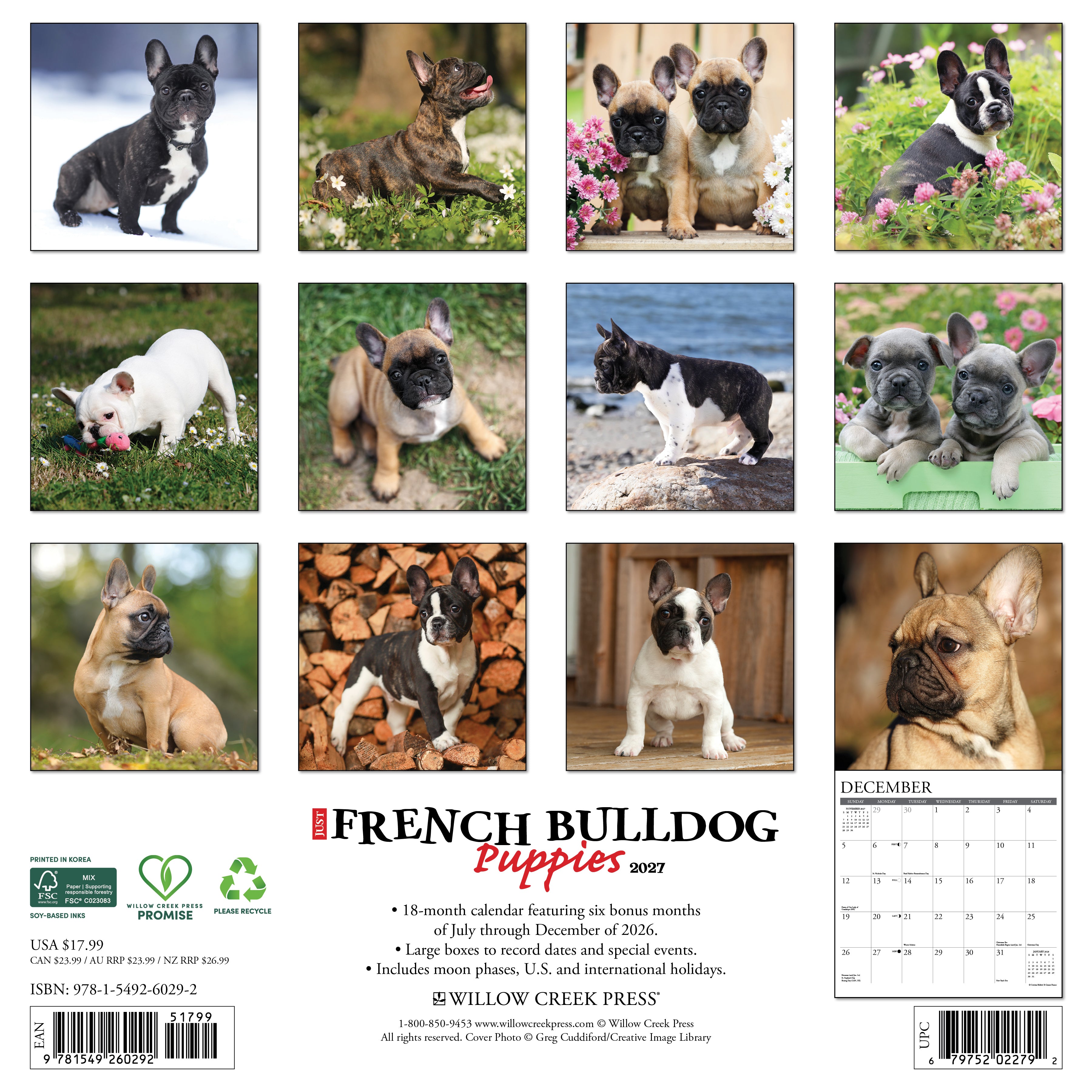 Willow Creek Press, French Bulldog Puppies 2027 Wall Calendar