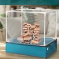 thumbnail image 4 of Mushroom Planting Box Cultivation Transparent Ecological Observation Shed, 4 of 8