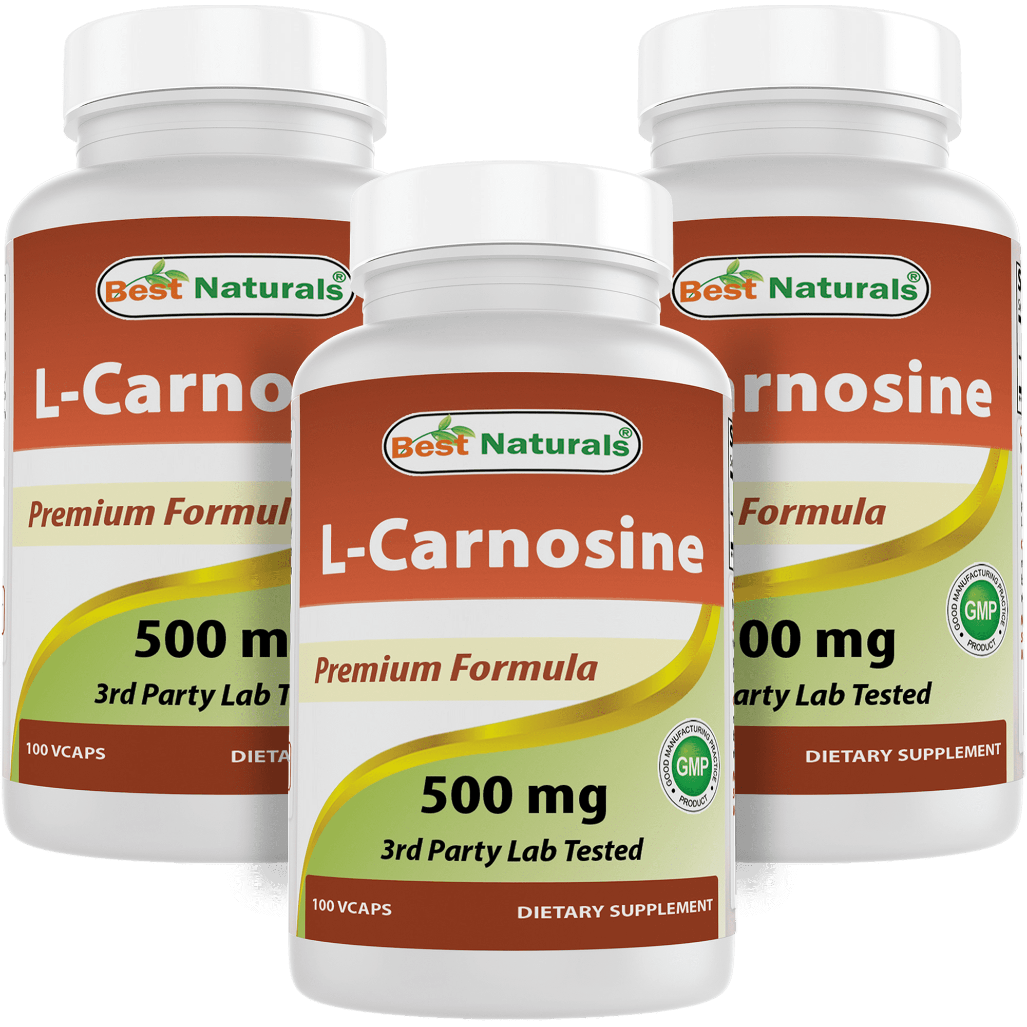 3 Pack Best Naturals L-Carnosine 500 mg 100 Vegetarian Capsules