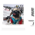 thumbnail image 4 of Doug the Pug 2026 5.4 X 6.2 Box Calendar-USA, (Hardcover), 4 of 4