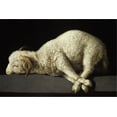 thumbnail image 2 of Art.com Agnus Dei, 1635-1640 Stretched Canvas Print Wall Art by Francisco de ZurbarÃ¡n, 24" x 16", 2 of 4