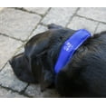 thumbnail image 2 of Arf Pets Cooling Dog Collar Gel for Heat Stress Relief, 2 of 4