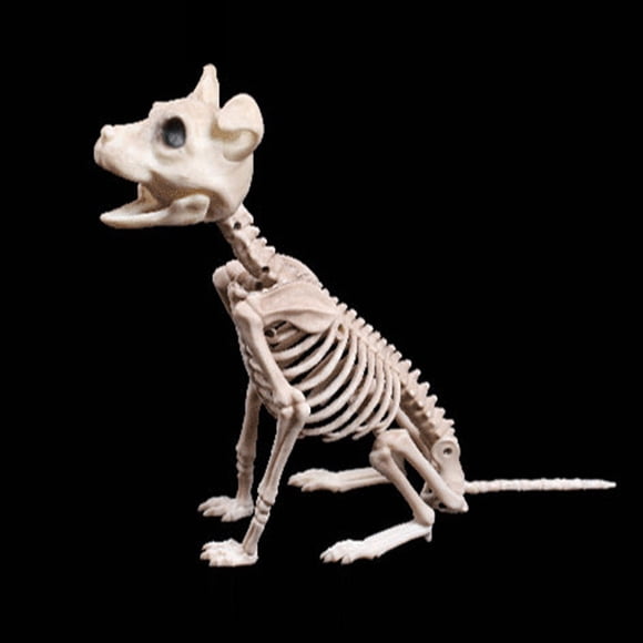 YHAIOGS Décorations d'Horreur Squelette d'Halloween Simulation Animaux Squelettes Décorations Chat d'Halloween pour Maison Intérieur
