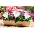 thumbnail image 4 of bolas de riego grandes - 25 x 10 cm Bolas de riego para plantas en forma de corazón Bolas de riego para plantas en macetas Bolas de riego de PVC con autorriego Dispensador de agua para, 4 of 5