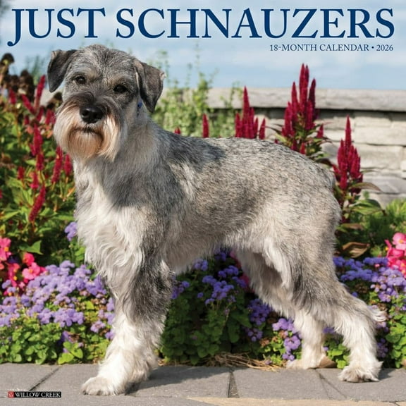 Willow Creek Press, Just Schnauzers 2026 Wall Calendar, 12'' X 12'', 18-Month Calendar with Stapled Binding