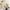 Beige, variant on Straw Beach Bag Summer Woven Shoulder Tote Bags Purse For Women Khaki Bag