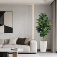 thumbnail image 3 of QinaQin Árbol artificial de hoja de violín de 5 o 6 pies en maceta blanca, planta decorativa realista para sala, oficina o hogar, 3 of 7