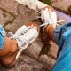 thumbnail image 5 of New Espadrille Flat Roman Sandalias de suela blanda de playa para mujer Wmkox8yii ytu1621, 5 of 5