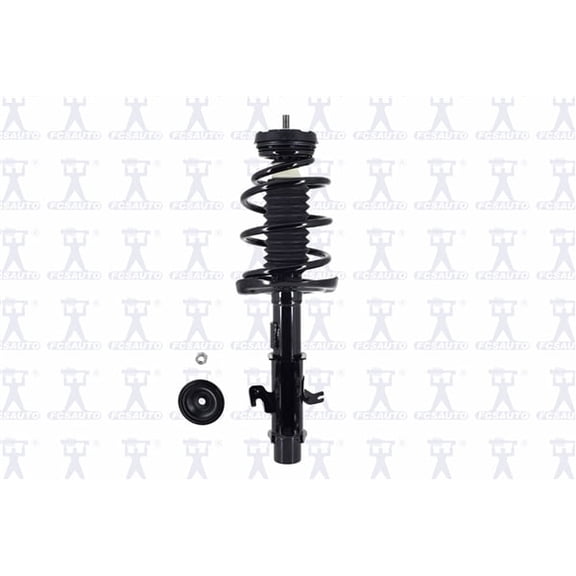 Suspension Strut and Coil Spring Assembly