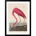 thumbnail image 2 of Art.com American Flamingo, 1838 Giclee Print by John James Audubon, Black Frame Wall Art, 32" x 44", 2 of 5