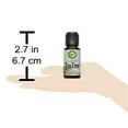 thumbnail image 4 of Tea Tree Essential Oil 100% Pure Australian Tea Tree Oil -  aceite esencial de árbol de té, 4 of 5