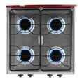 thumbnail image 4 of Estufa Parrilla de Gas de Gabinete Garell 4 quemadores 20 pulgadas Acero Inoxidable PG4Q-IT, 4 of 8