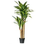 Vickerman Everyday 52" Tall Artificial Green and Yellow Dracanea Tree - Lifelike Home or Office Decor - Premium Artificial Dracanea Tree - Maintenance Free Faux Plants