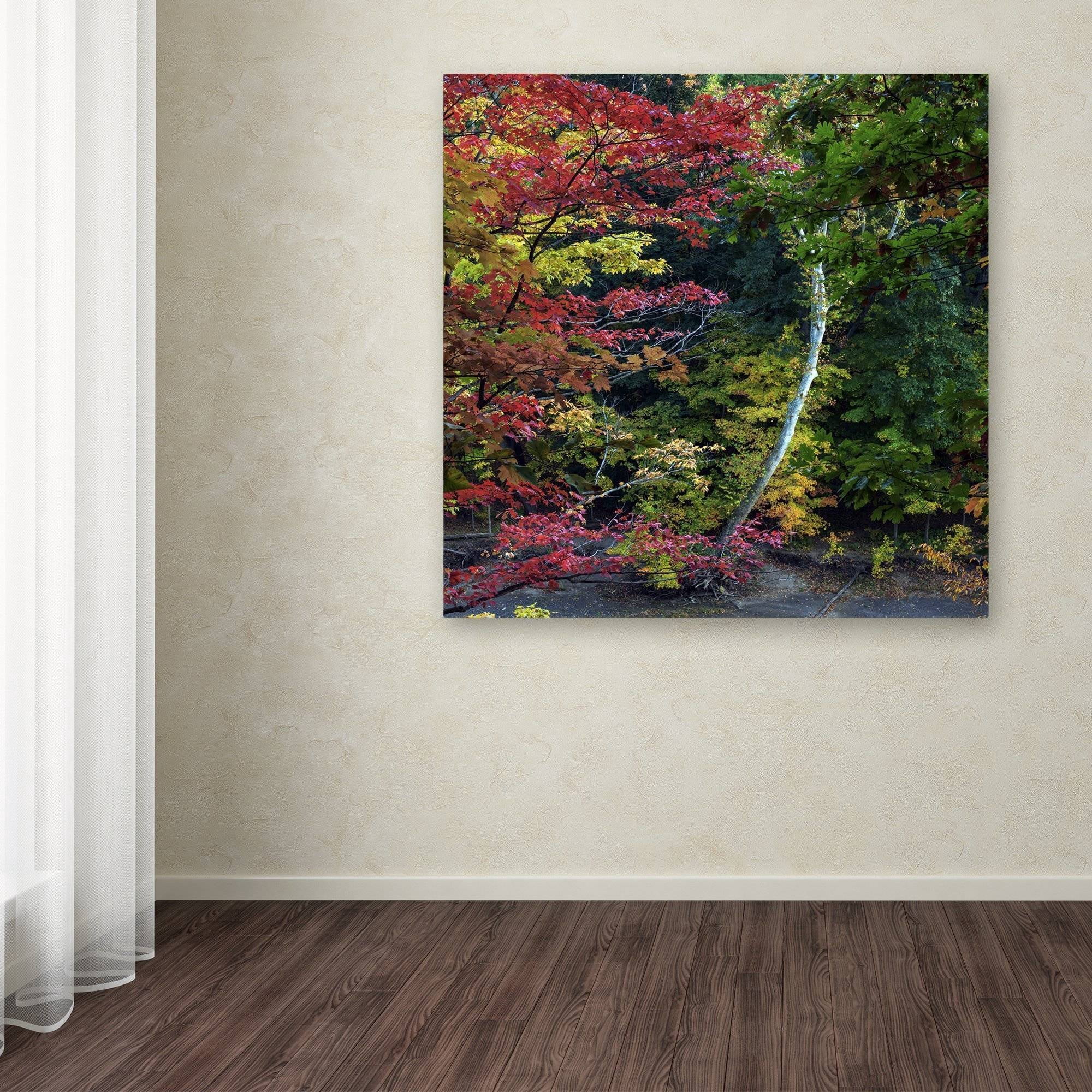 Trademark Fine Art "All the Colors of October in Ohio" Canvas Art by Kurt Shaffer