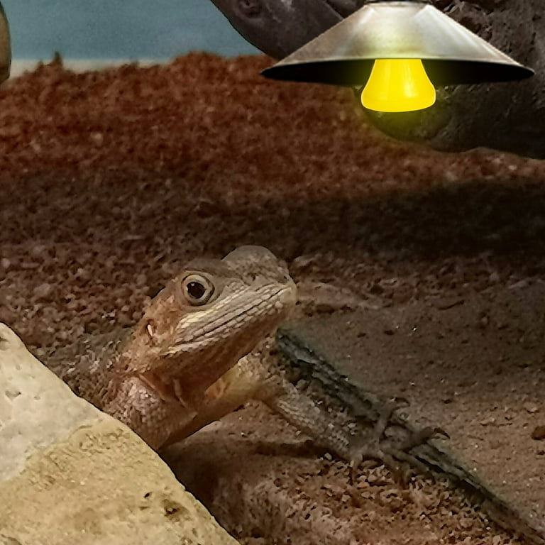 Gecko lamp top