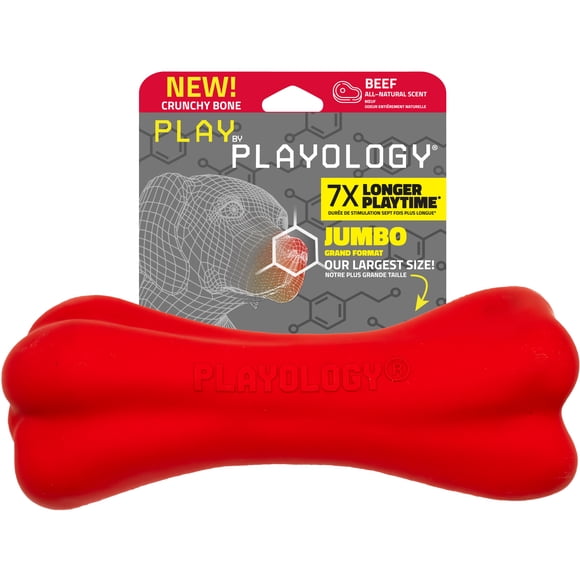 Playology Jumbo Crunchy Bone - Beef Scented Dog Toy