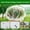 1x1.4M, variant on 60 Mesh Thicken Garden Netting Protection Fly Barrier, Ultra-Fine Mesh Screen Plant Covers for Raised Bed, Greenhouse Accessories – Protective Garden Netting for Vegetables & Fruits 1x1.4M