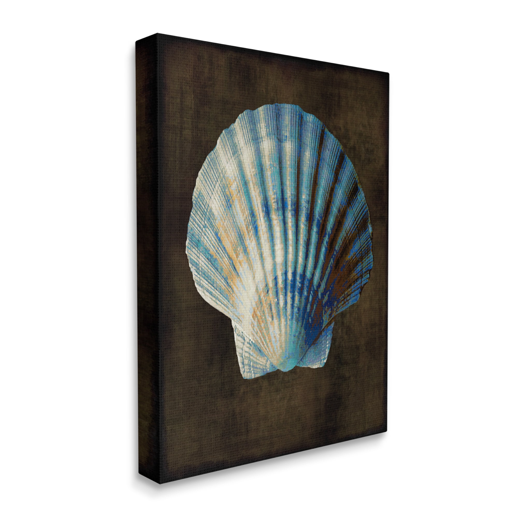 Stupell Industries Dark Clam Shell Nature Painting Gallery Wrapped Canvas Art Print Wall Art, 30 x 40