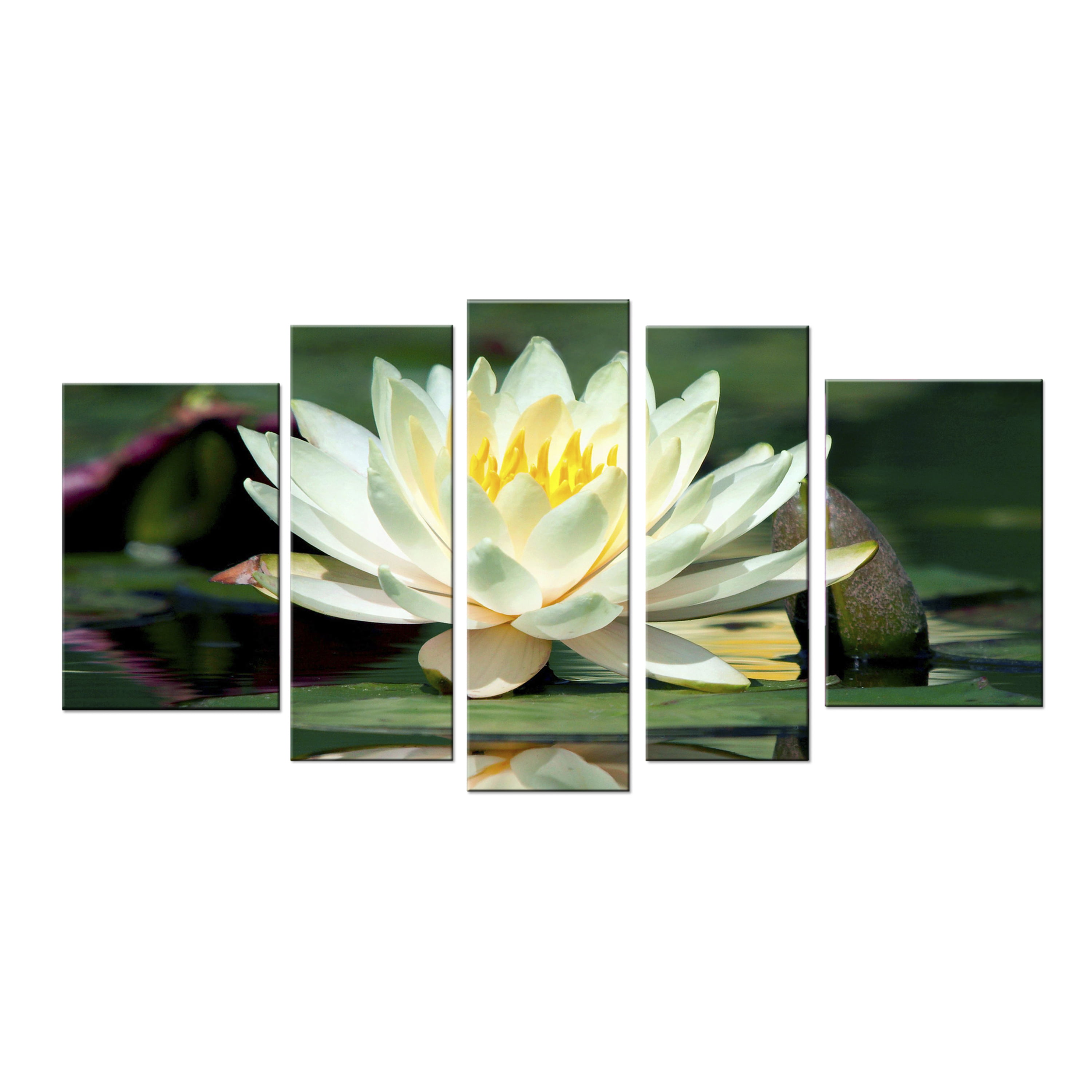 Nature Photography Prints Flower Pictures Fine Art Flower Photography Prints Water Lilies Flower Print Tropical Wall Art Waterlily Photo