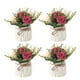 thumbnail image 1 of Plantas artificiales Advancent Cerámica ABS 4 piezas Decoración Blanco, 1 of 6