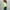 Green, variant on VgaVtl 3/4 Sleeve Womens Lightweight Cardigan Blue Open Front Cardigans for Women Plus Sizes Casual Loose Floral Cardigans