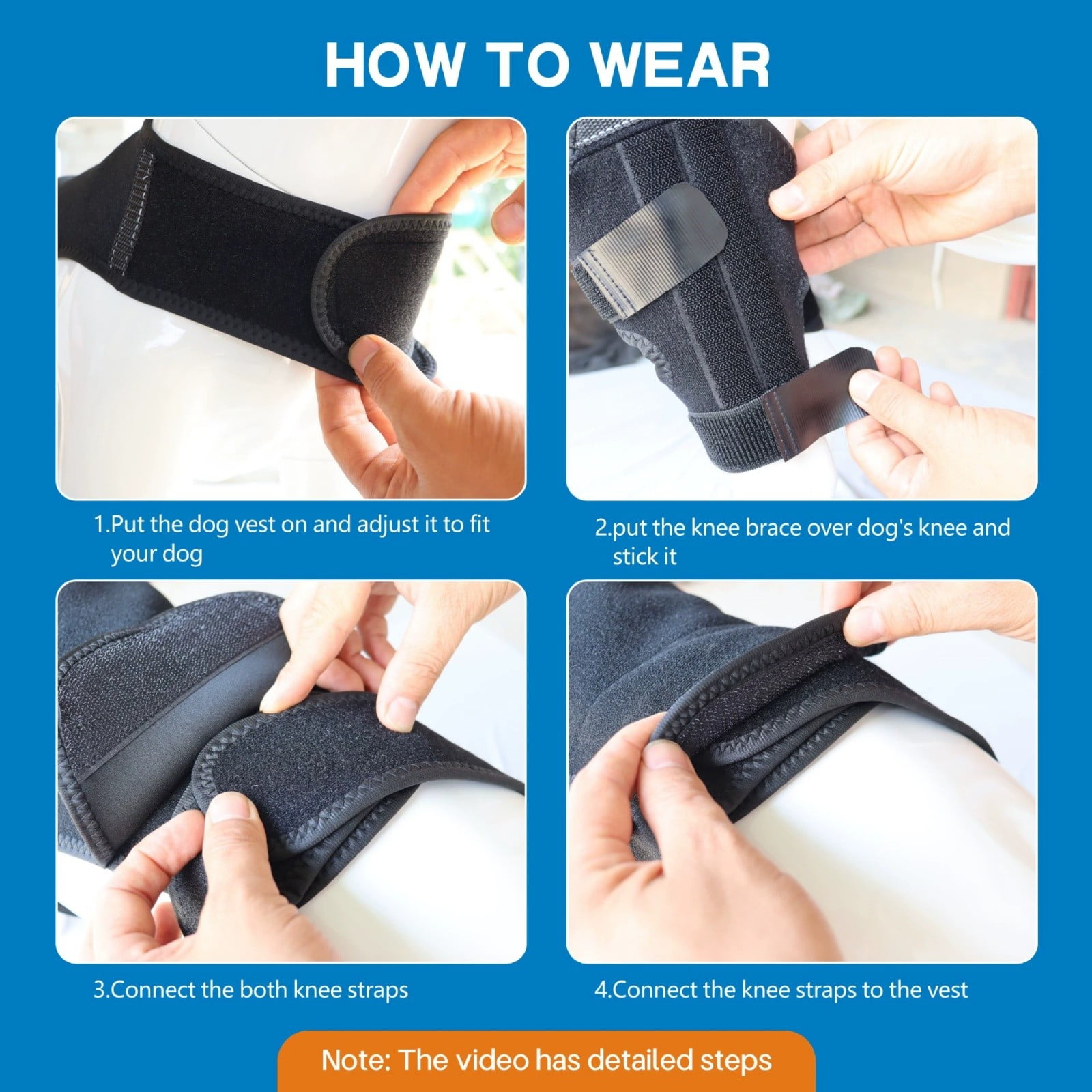 Dog Knee Brace for Torn ACL/CCL & Hind Leg Support - Adjustable Brace for Arthritis Relief, Joint Stability & Injury Recovery - Fits Small & Medium Dogs（1PC）