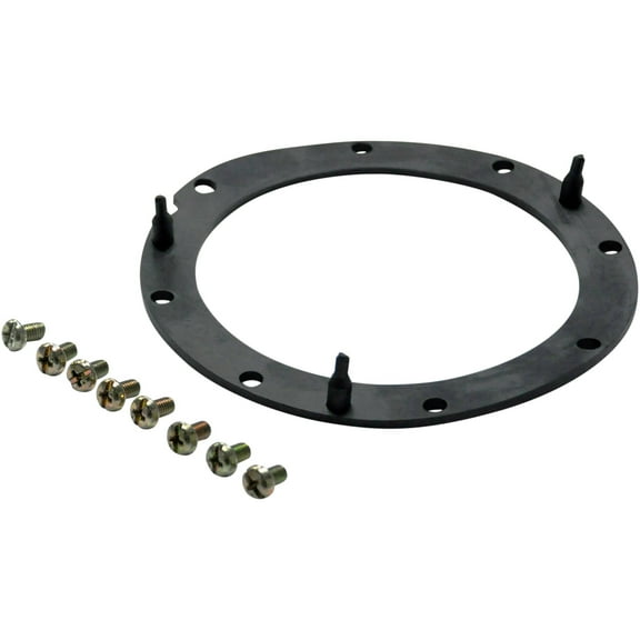 Dorman 579-071 Fuel Tank Sending Unit Lock Ring for Specific Geo / Toyota Models