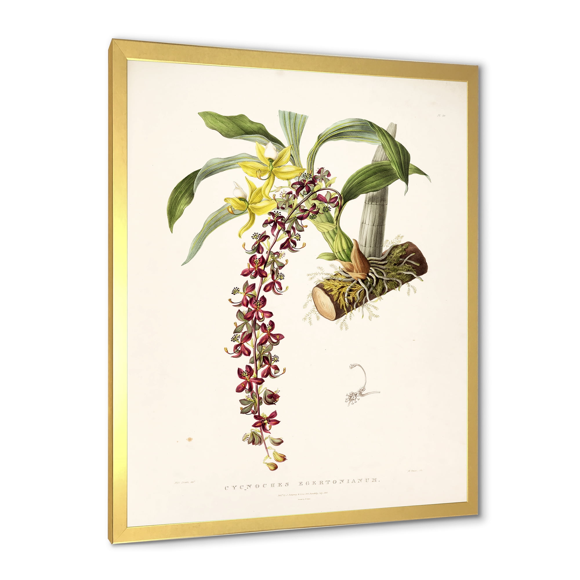 Designart 'Ancient Flower II' Traditional Framed Art Print