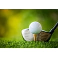 thumbnail image 2 of Whamz33 W Professional Wooden Golf Tees 2 3/4 Inch Tee Pack Of 100 Golf Tee, 2 of 4
