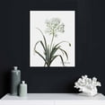 thumbnail image 4 of PIKWEEK Allium Fragrans Flowers Canvas Poster Wall Art Decor Print Picture Paintings for Living Room Bedroom Decoration, 4 of 4