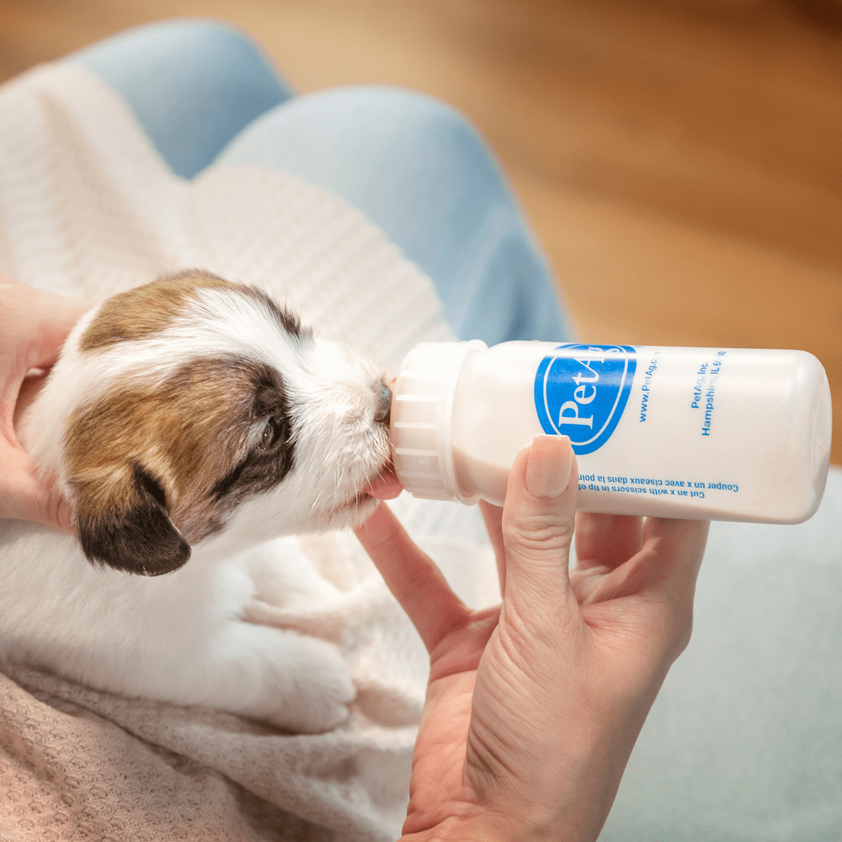 Puppy milk replacer walmart cheap