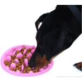 thumbnail image 1 of Cuenco de silicona antideslizante y sin BPA, sin borde, para perros y gatos, ideal para una alimentación saludable y una digestión lenta., 1 of 5