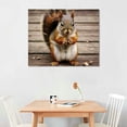 thumbnail image 3 of COMIO Time for a Snack Cute Squirrel Eating a Nut Acorn Nature Wild Animal Red Squirrel Closeup Photo Photograph Thick Paper Sign Print Picture, 3 of 5