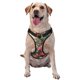 thumbnail image 1 of Fotbe Butterflies In Blooming Garden Arnés para Perro con Estampado –Chaleco Ajustable Acolchado con Asa de Control para Perros Grandes-X-Large, 1 of 6